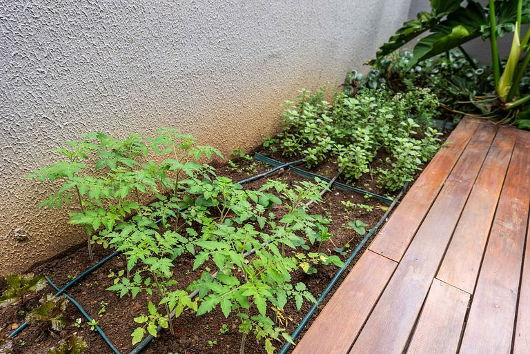 TK19 Chame e Conforto Luxo Ao Lado Metro Sp